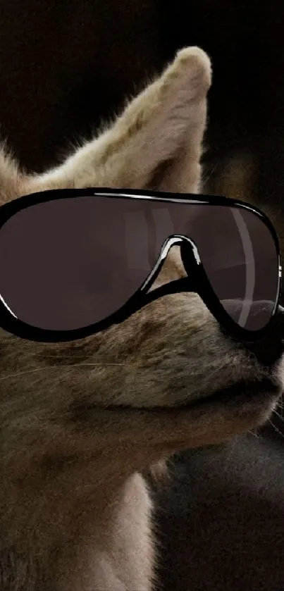 Wolf wearing sunglasses in nature-themed wallpaper.