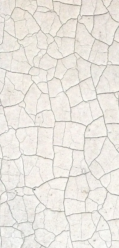 Cracked texture wallpaper with light gray tones.