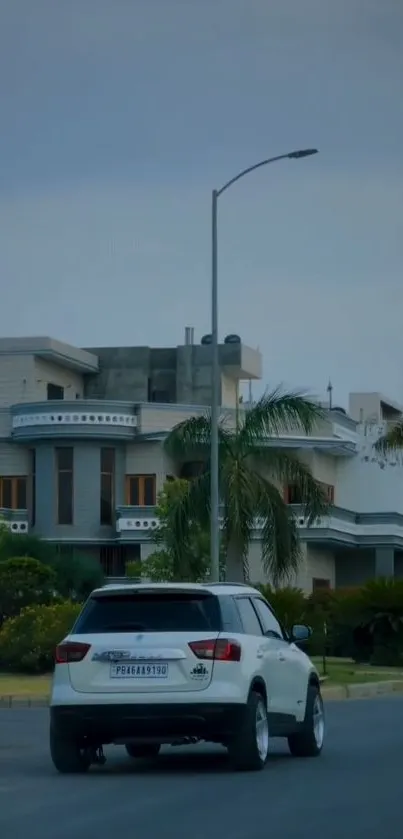 Modern SUV on a suburban street with palm trees in the background.