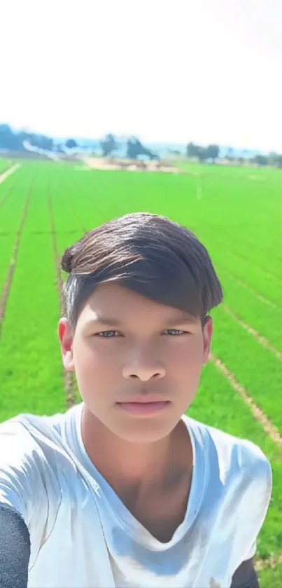 Summer Agriculture Field Live Wallpaper