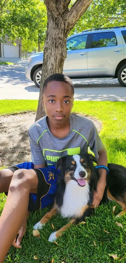 Boy sitting with dog on grass under a tree on a sunny day.