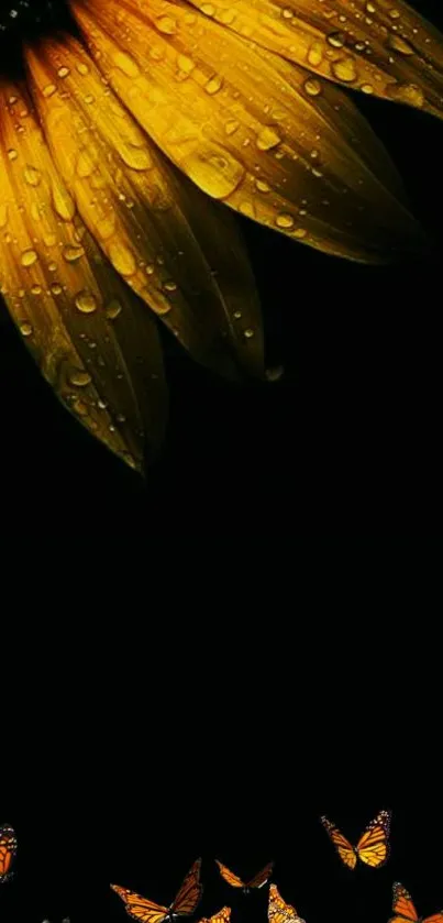 Sunflower and butterflies on a black background, vibrant mobile wallpaper.