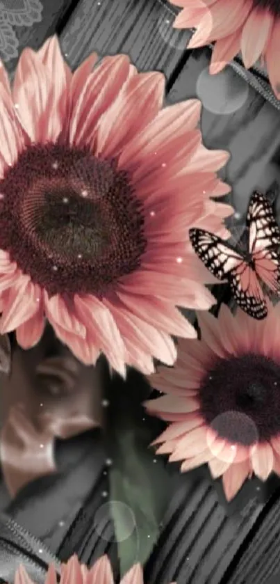 Pink sunflowers with a butterfly on a black textured background.