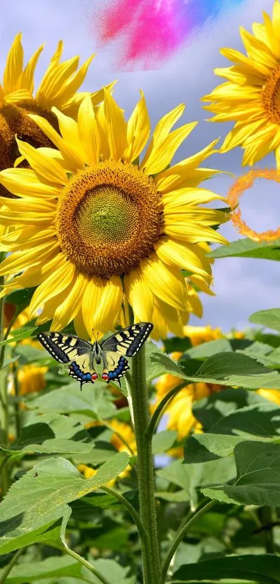 Vibrant sunflower with butterfly under blue sky.