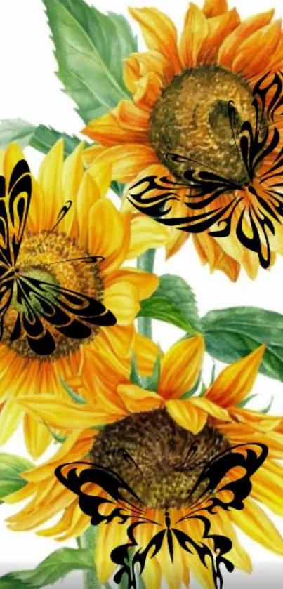 Vibrant sunflower with black butterflies wallpaper.