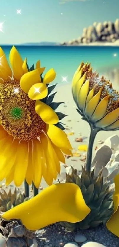 Vibrant sunflower on a beach with turquoise water and pebbles.