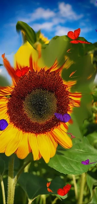 Sunflower and butterflies mobile wallpaper with lush green background.