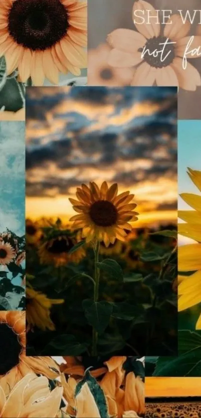 Sunflower collage wallpaper with inspiring text.