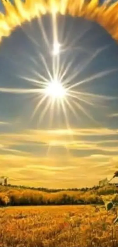 A stunning view of a sunflower field under a bright sun.