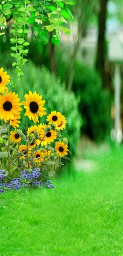 Wallpaper with sunflowers and a lush green garden.