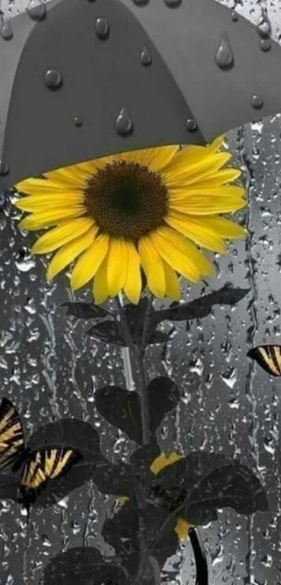 Sunflower under umbrella with butterflies in the rain.