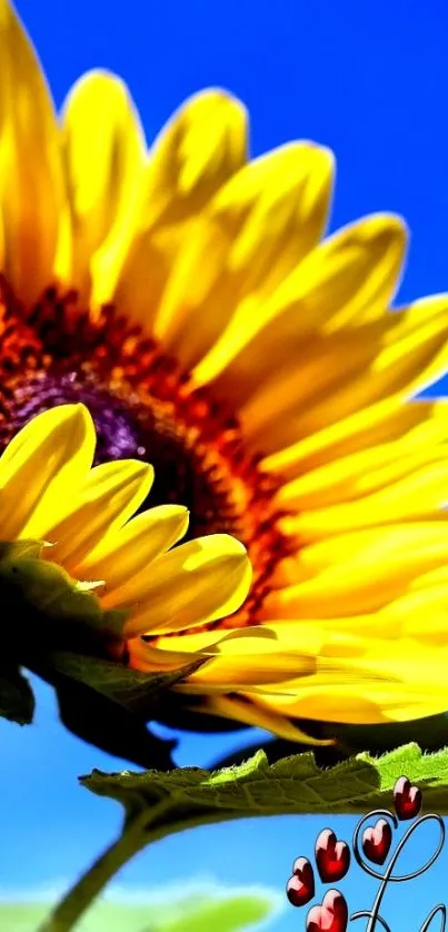 Sunflower against a blue sky with 'Love' text overlay.