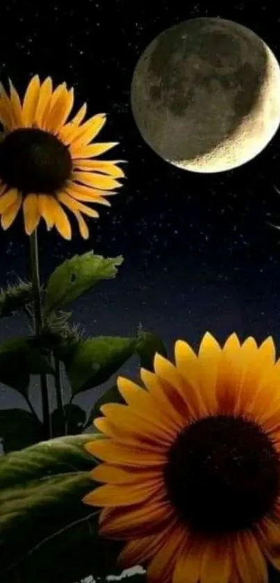 Moonlit night with sunflowers wallpaper.