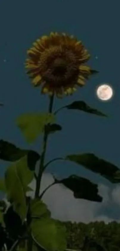 Sunflower under a starry night sky with moon.