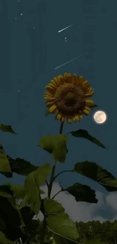 Sunflower silhouetted against a moonlit starry night sky.