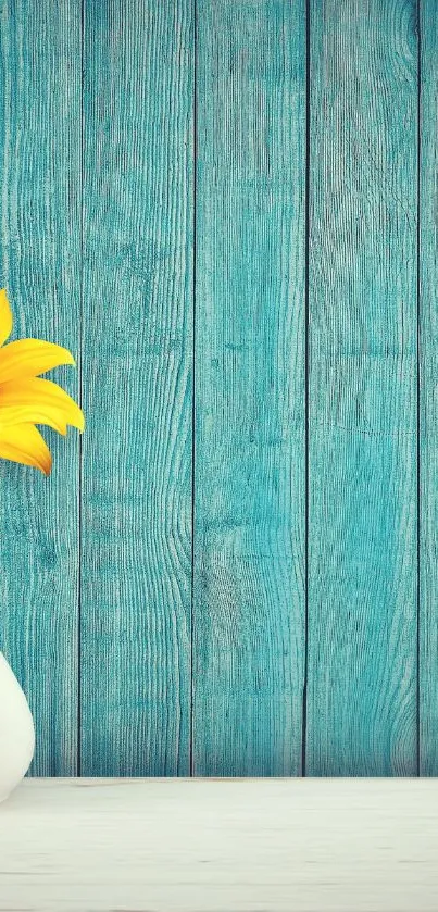 Sunflower in a vase against rustic blue wood background.