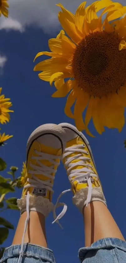 Sunflower field with sneakers against a blue sky.