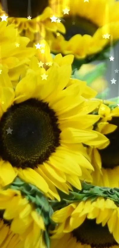 Vibrant yellow sunflower art with sparkling stars.