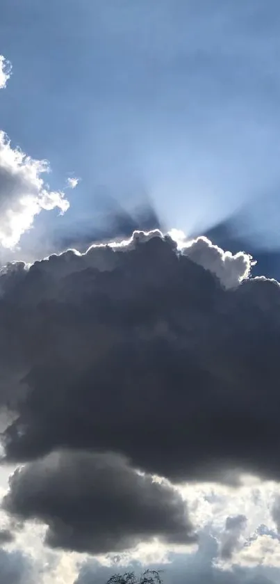 Stunning wallpaper of clouds backlit by sunlight, creating a serene sky.