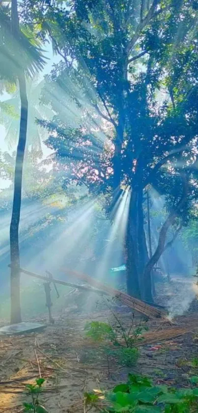 Sun rays filtering through green forest trees, creating a serene atmosphere on a sunny day.