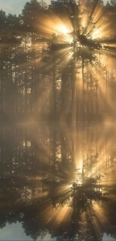 Sunlight streaming through a misty forest, reflecting in still water.