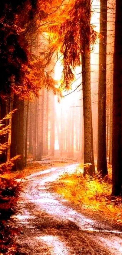 Autumn forest path with golden leaves.