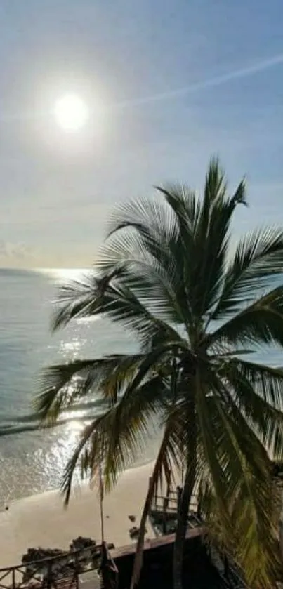 Tropical beach view with palm tree and ocean under a sunny blue sky.