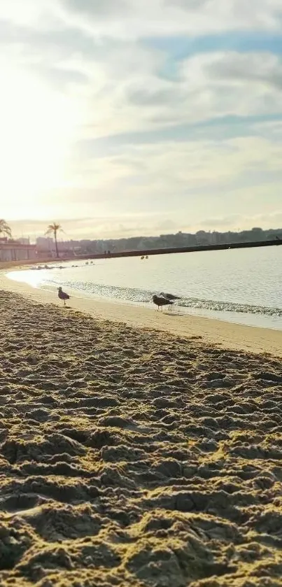 Tranquil beach at sunrise with gentle waves and serene sky.