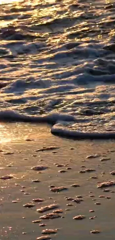 Sunlit beach waves with golden reflections and tranquil ocean vibes.