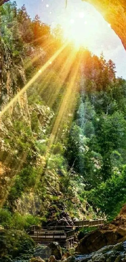 Sunlit cave entrance with green foliage.