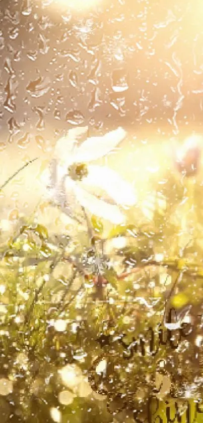 Sunlit flowers and grass with sparkling dew, creating a serene and bright scene.