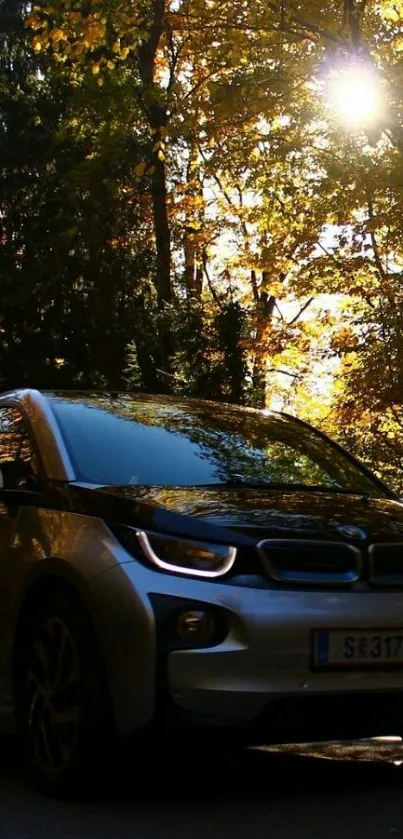 Car driving through sunlit forest with autumn leaves.