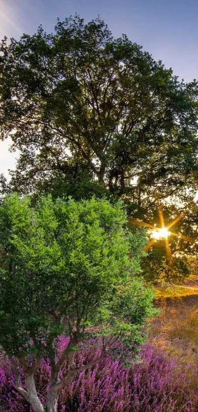 Sunlit forest with green trees and purple flowers in a serene nature scene.