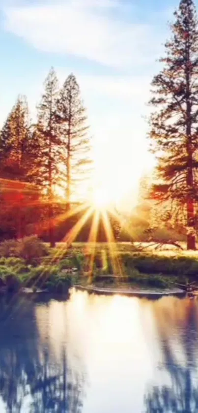 Sunrise through forest reflected in lake with vibrant colors.