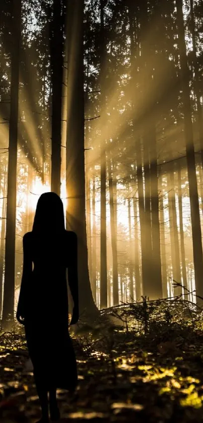 Silhouette in a sunlit forest with golden rays filtering through trees.