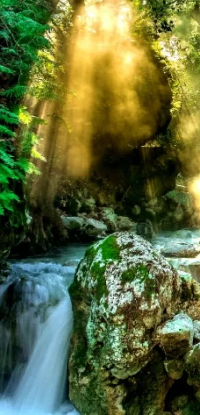 Sunlit waterfall in a lush green forest with flowing water and natural light.