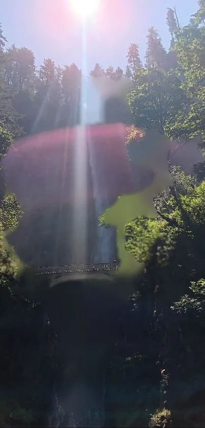 Sunlit forest waterfall with lush greenery and a scenic bridge view.