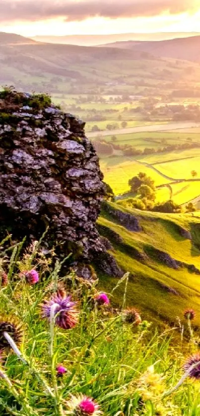 Sunlit green meadow with purple wildflowers and scenic landscape.