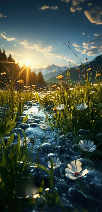 Sunlit meadow with wildflowers and mountain view during sunset.