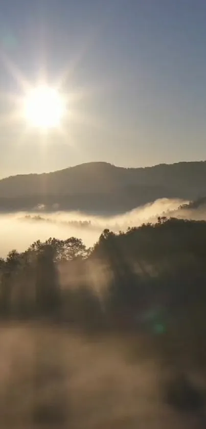 Misty mountain landscape with sunrise, serene view.