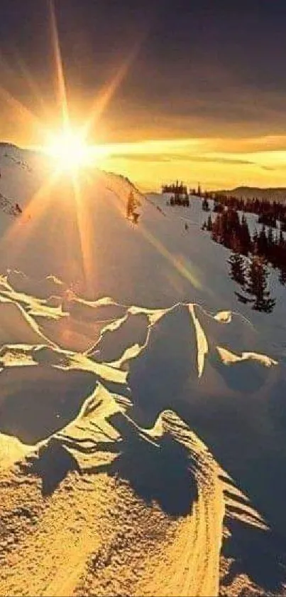 Sunrise over snowy mountains with golden sunlight casting shadows on the snow.