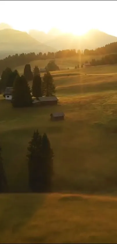 Sunlit mountain valley with lush greenery and warm light.