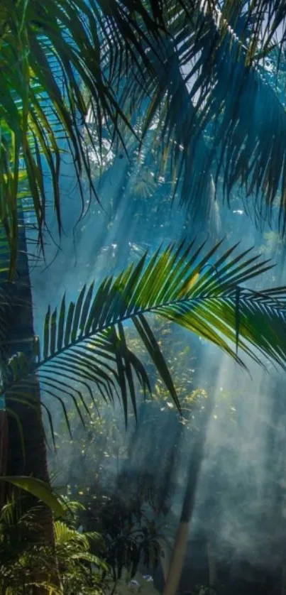 Sunlight filtering through tropical palm leaves with mist in the background.