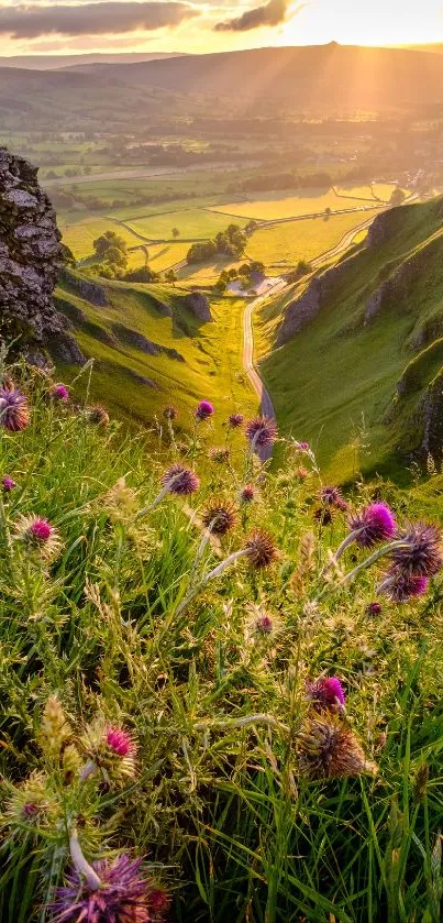 Sunlit green valley with wildflowers and a golden sunset.