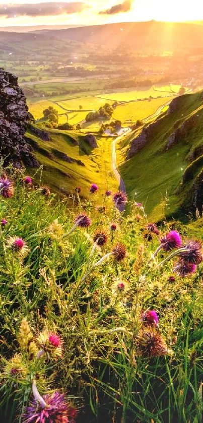 Sunlit valley with wildflowers in green landscape.