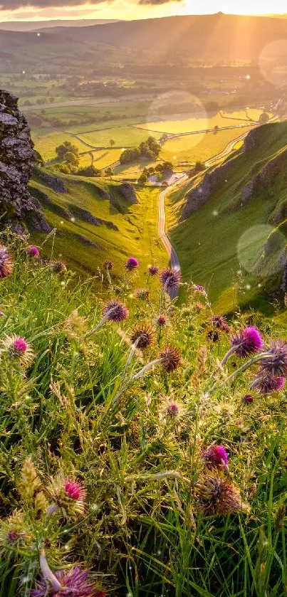 Sunlit valley with wildflowers and hills at sunset.