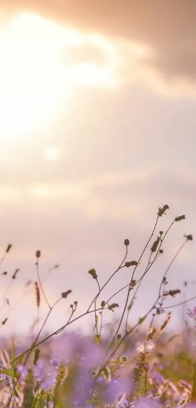 Delicate wildflowers under a sunlit, pastel sky.