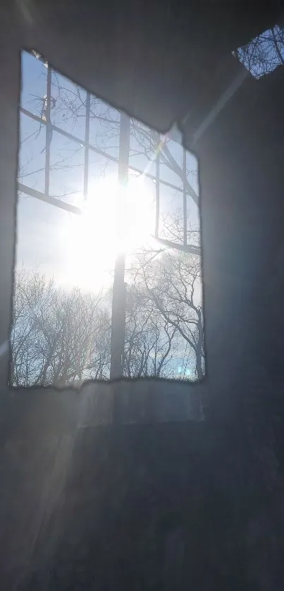 Sunlight streaming through rustic window with tree silhouettes.