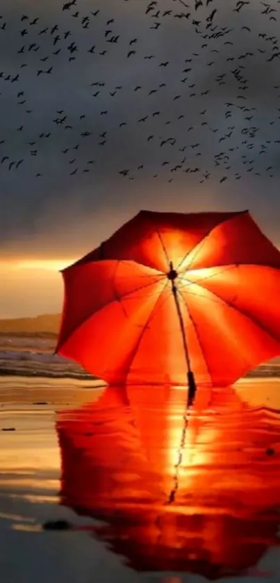 Red umbrella reflection on beach at sunset with birds in the sky.