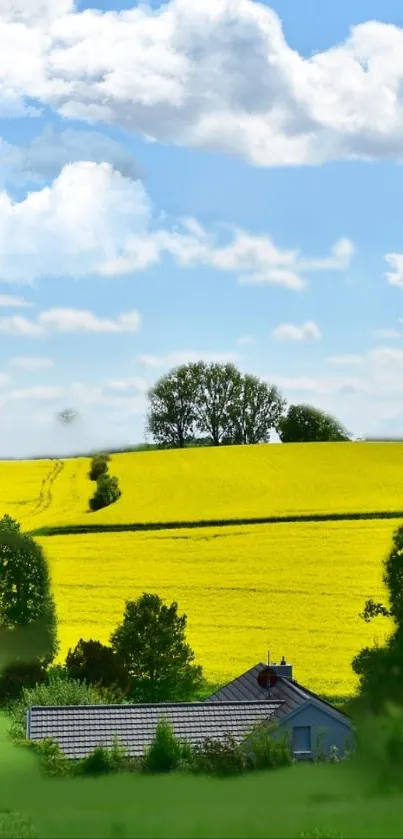 Vibrant yellow landscape with house and sky.